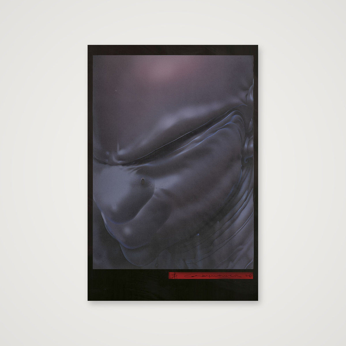 Graywalker xeno poster 003 — 40×60cm, 16×24" Print only