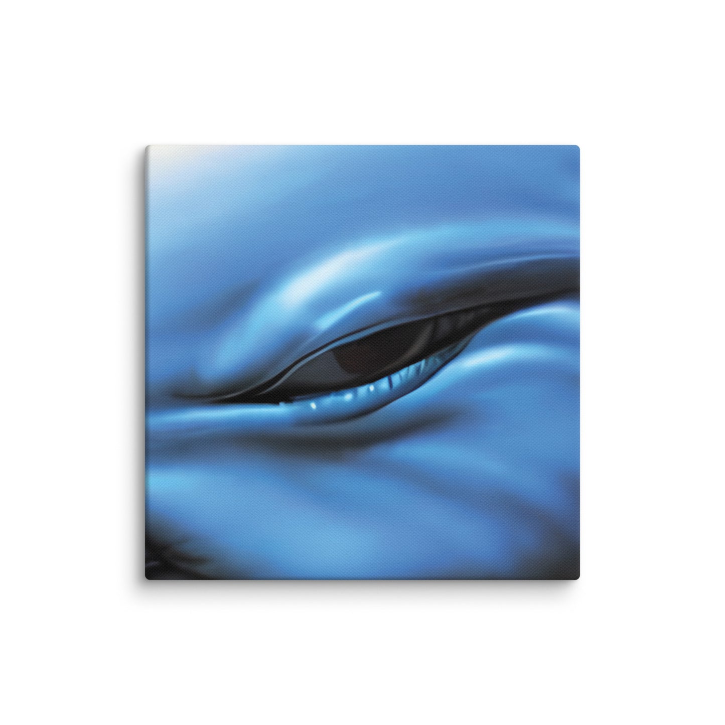 Canvas print - Dolphin Eye