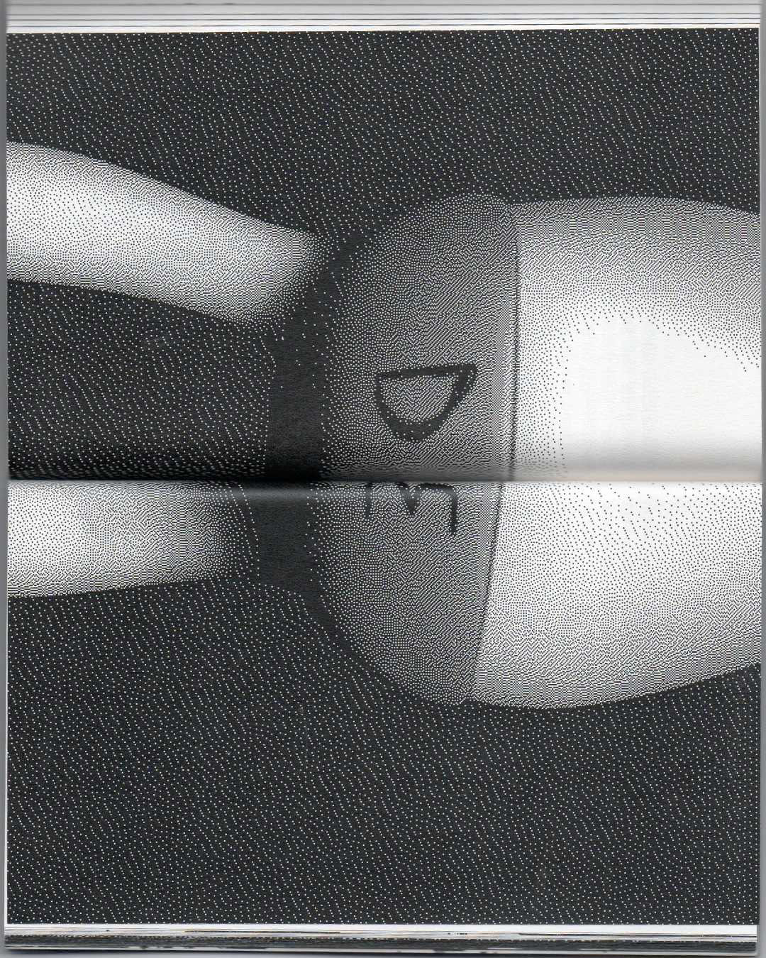 1 📕 The Schwestern Sisters (Hardcover Vol I.)